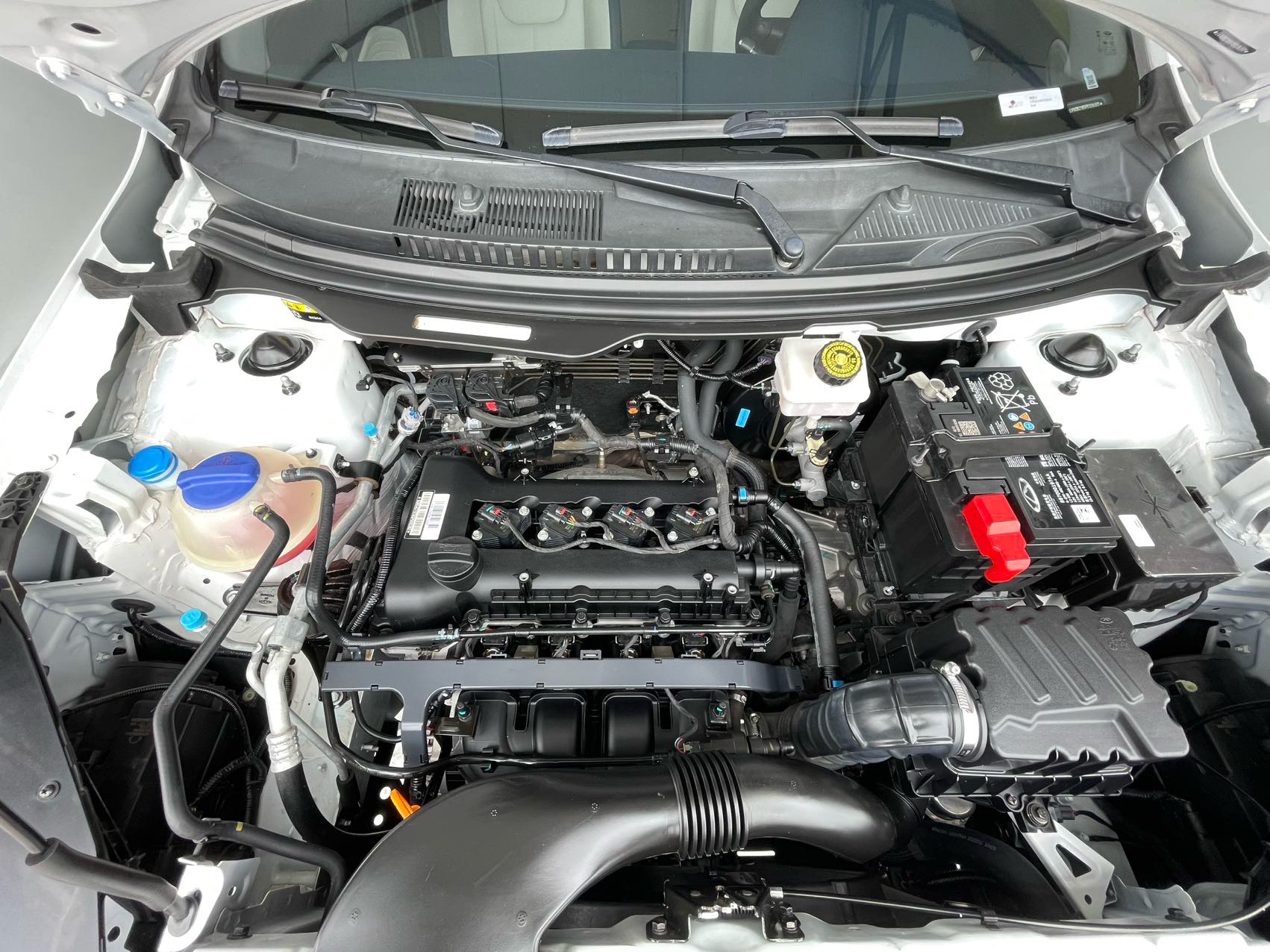 Chery Tiggo 3x 2024 immagine di auto #18