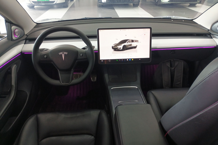 Tesla Model 3 2022 immagine di auto #10