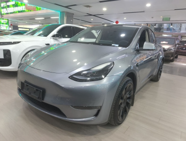 Tesla Model Y 2024 Tesla Model Y 2024 car image