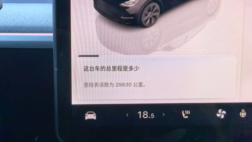 Tesla Model Y 2023 #4 Tesla Model Y 2023 car image #4