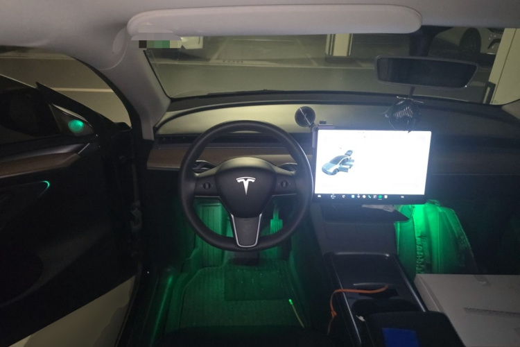 Tesla Model Y 2021 #11 Tesla Model Y 2021 car image #11