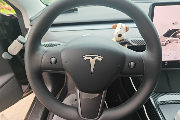 Tesla Model 3 2023 car image #15