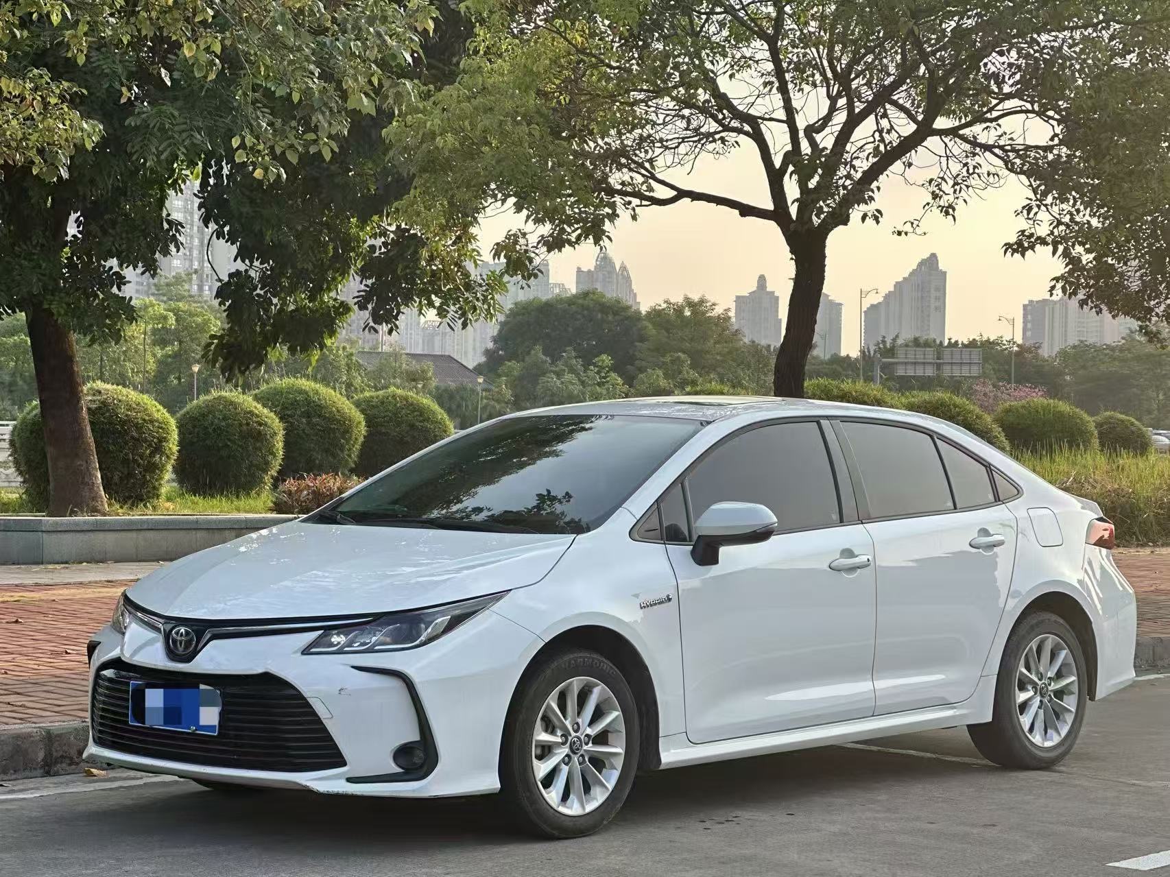 Toyota Corolla 2023 Toyota Corolla 2023 car image