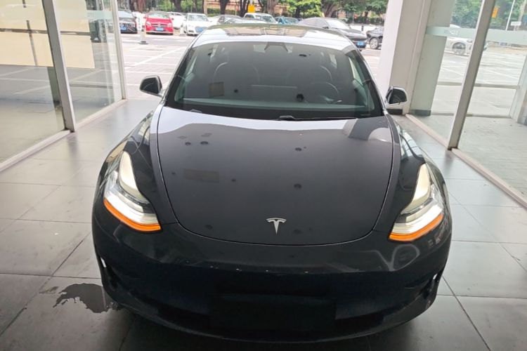Tesla Model 3 2020 car image #3