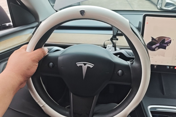Tesla Model Y 2022 car image #11