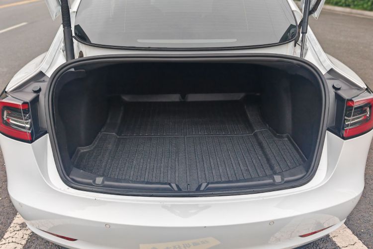 Tesla Model 3 2021 #22 Tesla Model 3 2021 car image #22