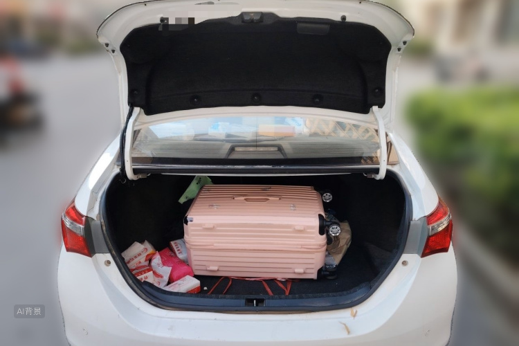 Toyota Corolla 2018 #21 Toyota Corolla 2018 car image #21