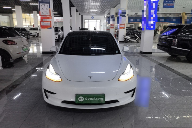 Tesla Model 3 2020 #3 Tesla Model 3 2020 car image #3