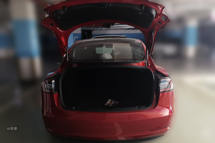 Tesla Model 3 2020 #21 Tesla Model 3 2020 car image #21