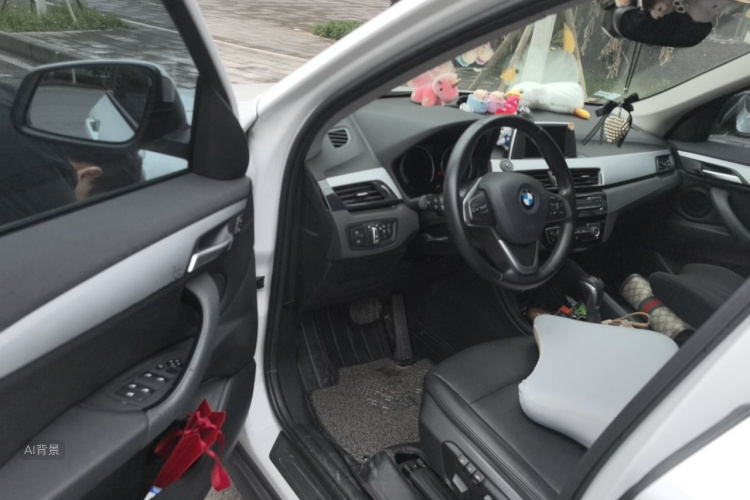 BMW X1 2018 car image #18