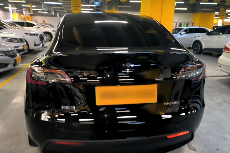 Tesla Model Y 2022 car image #6