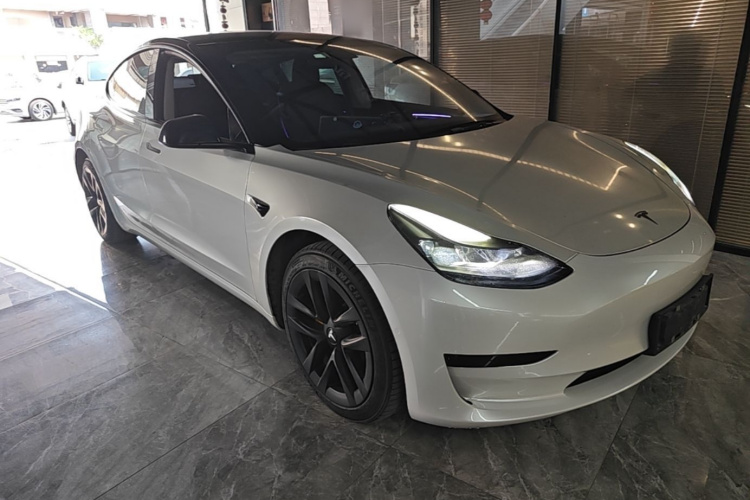Tesla Model 3 2022 car image #6