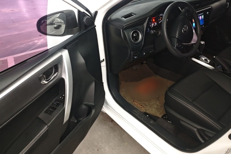 Toyota Corolla 2019 car image #16
