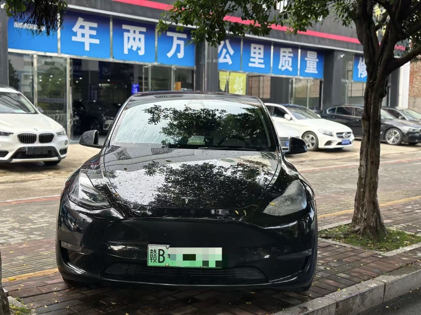 Tesla Model Y 2022 #2 Tesla Model Y 2022 car image #2