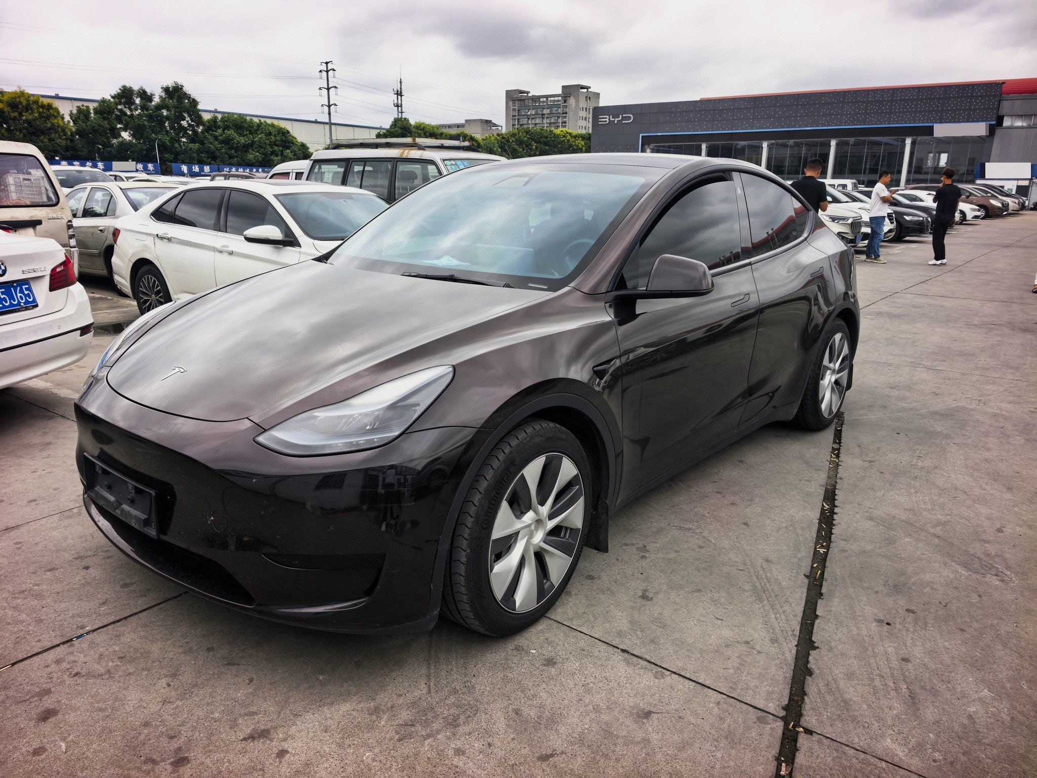 Tesla Model Y 2023 car image 