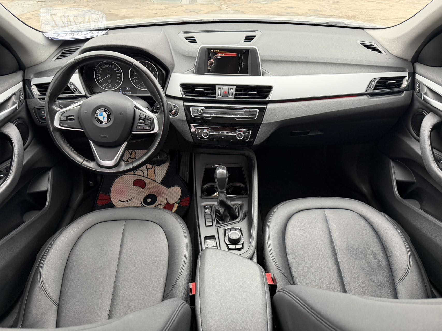 BMW X1 2017 car image #7