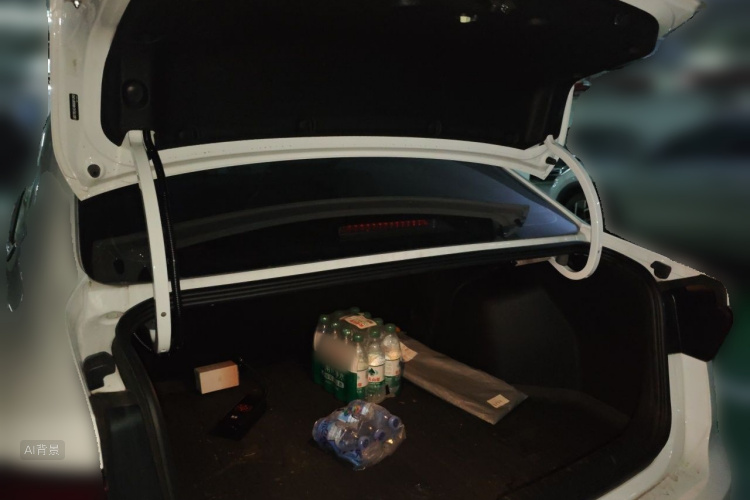 GEELY Emgrand 2024 car image #21