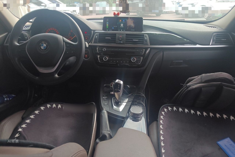 BMW 3 Series 2019 car image #11