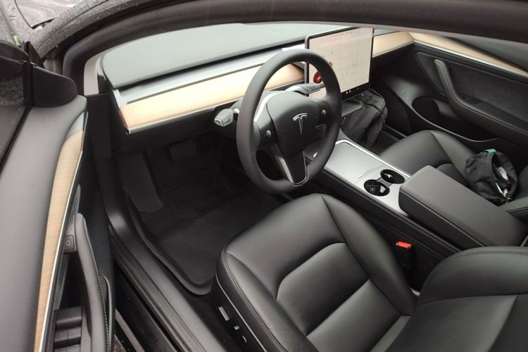 Tesla Model 3 2021 car image #12