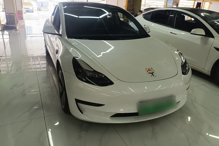 Tesla Model 3 2021 car image #4