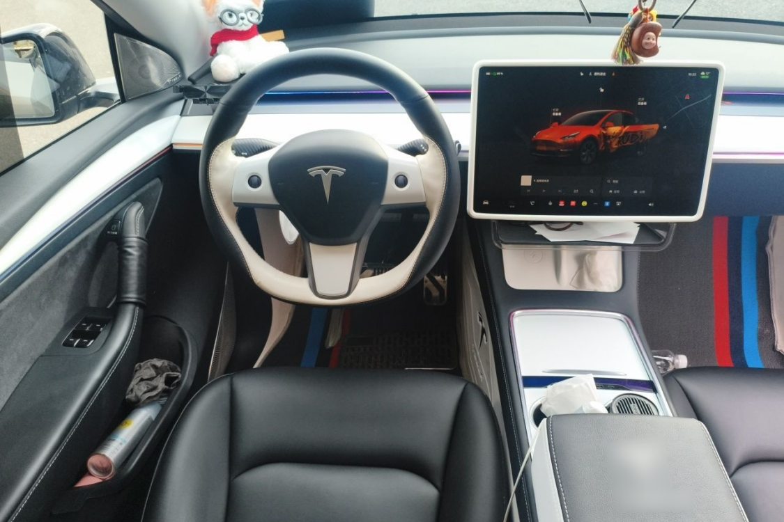 Tesla Model Y 2024 car image #22