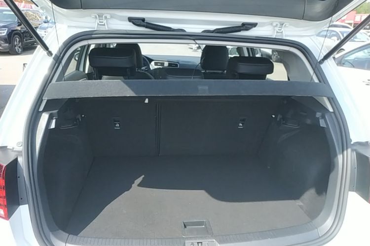 Volkswagen Golf 2020 car image #19