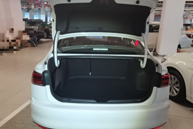 Volkswagen Bora 2020 car image #19