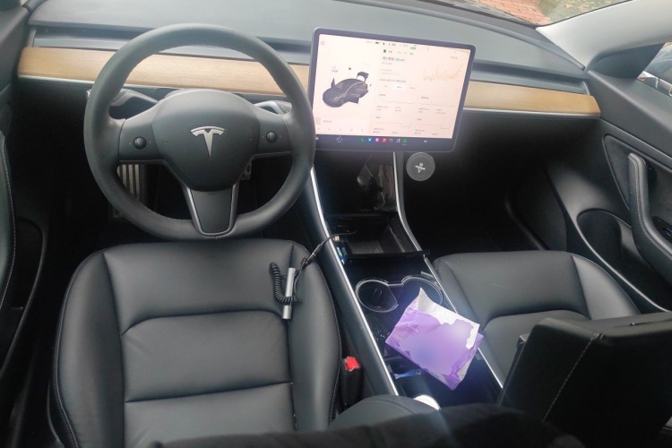 Tesla Model 3 2020 car image #7