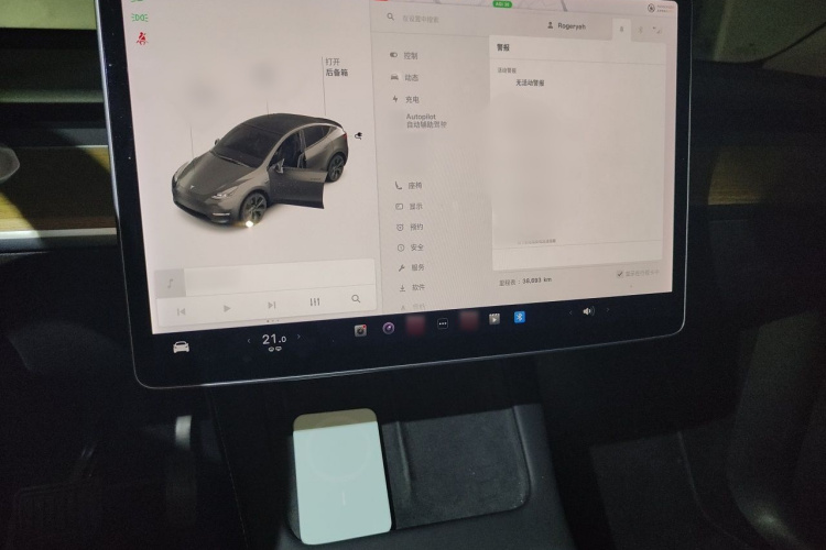 Tesla Model Y 2021 #17 Tesla Model Y 2021 car image #17