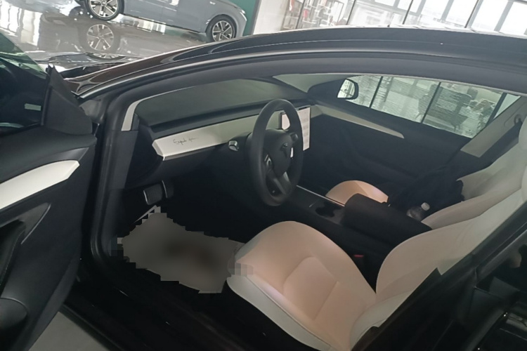 Tesla Model 3 2021 #16 Tesla Model 3 2021 car image #16