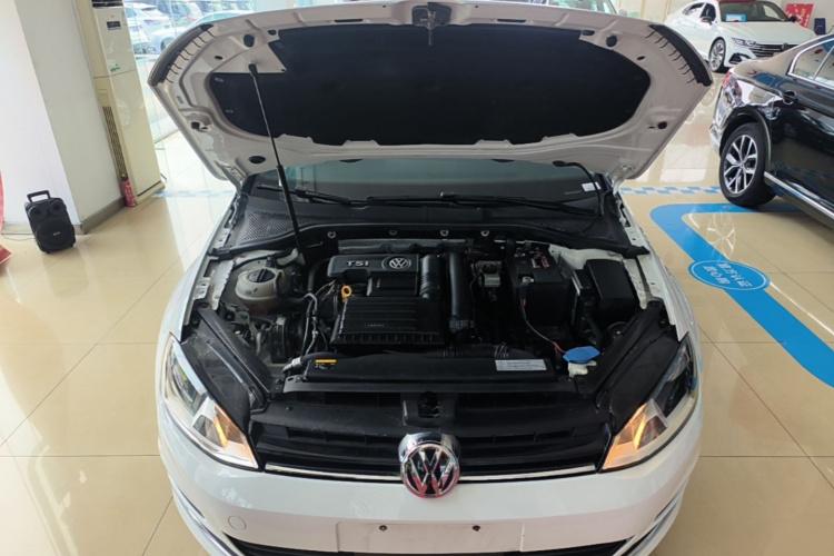 Volkswagen Golf 2017 car image #20