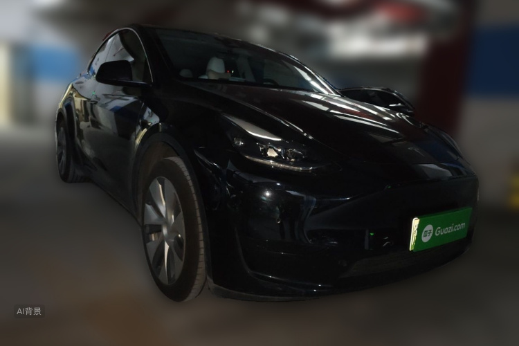 Tesla Model Y 2023 car image #4