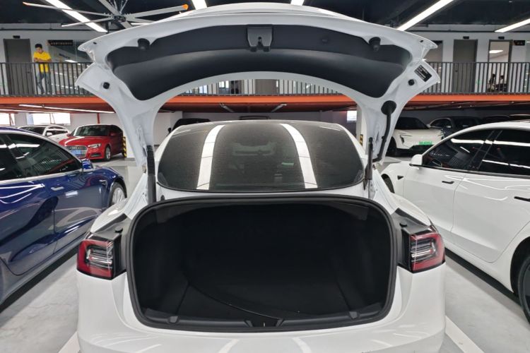 Tesla Model 3 2021 #19 Tesla Model 3 2021 car image #19