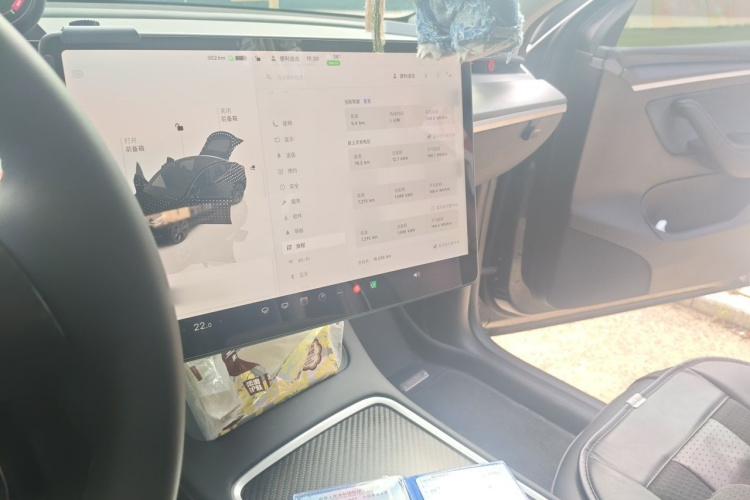 Tesla Model Y 2024 car image #17