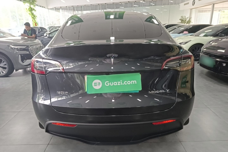 Tesla Model Y 2024 car image #6