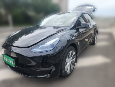 Tesla Model Y 2023 Tesla Model Y 2023 car image