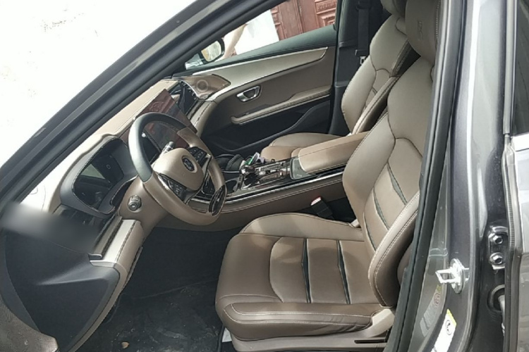 BYD Han 2020 #19 BYD Han 2020 immagine di auto #19