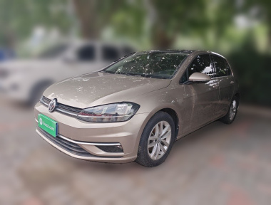 Volkswagen Golf 2019 Volkswagen Golf 2019 car image