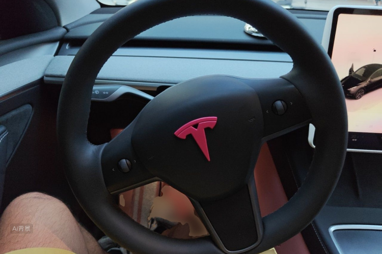 Tesla Model Y 2023 #12 Tesla Model Y 2023 car image #12