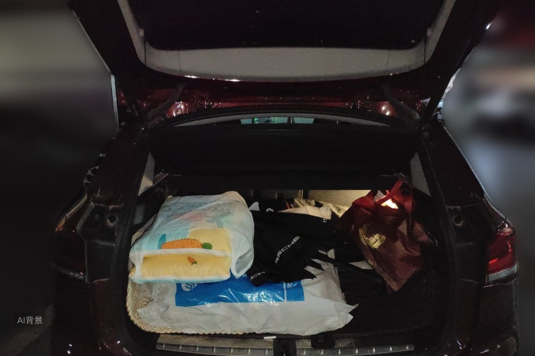 BMW X1 2021 car image #21