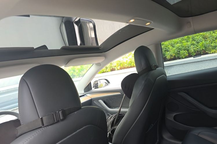 Tesla Model 3 2021 #18 Tesla Model 3 2021 car image #18