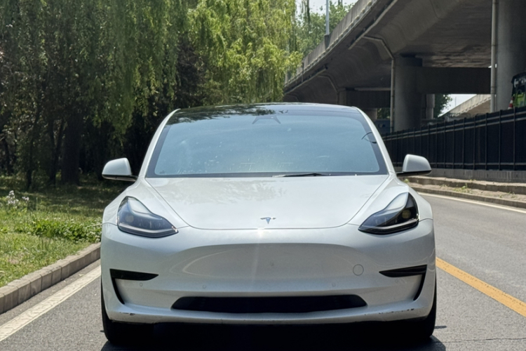 Tesla Model 3 2021 #5 Tesla Model 3 2021 car image #5