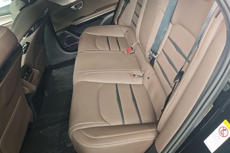 BYD Han 2021 #13 BYD Han 2021 immagine di auto #13