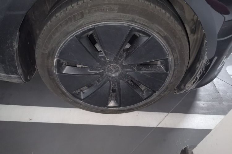 Tesla Model 3 2024 #6 Tesla Model 3 2024 car image #6