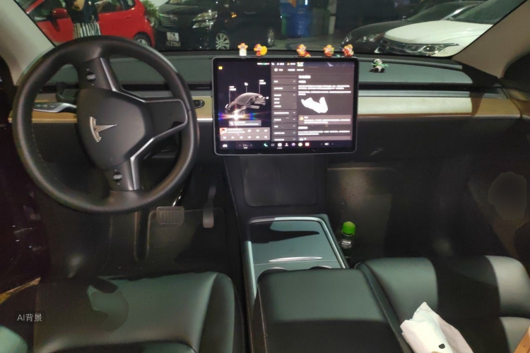 Tesla Model Y 2021 car image #11