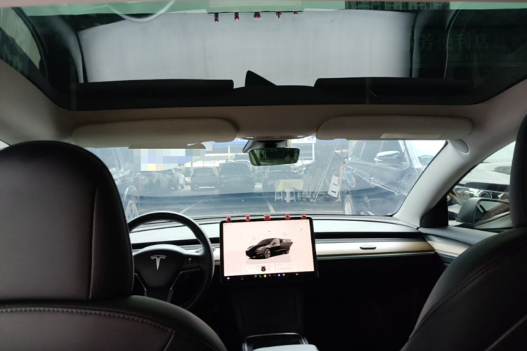 Tesla Model 3 2022 immagine di auto #18