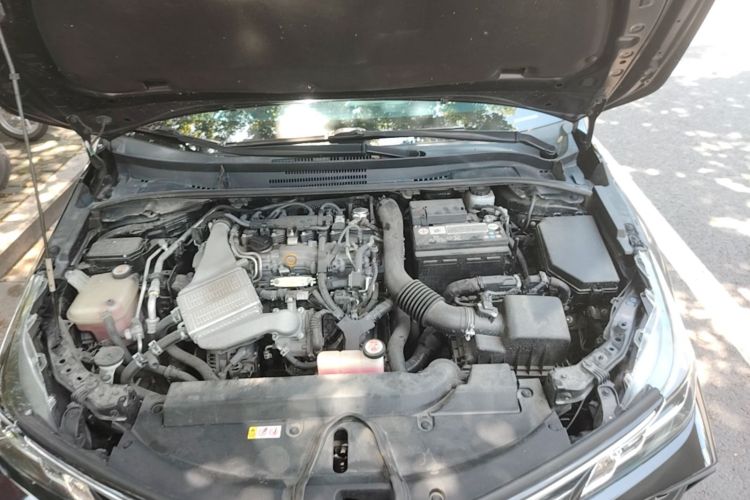 Toyota Corolla 2020 car image #20