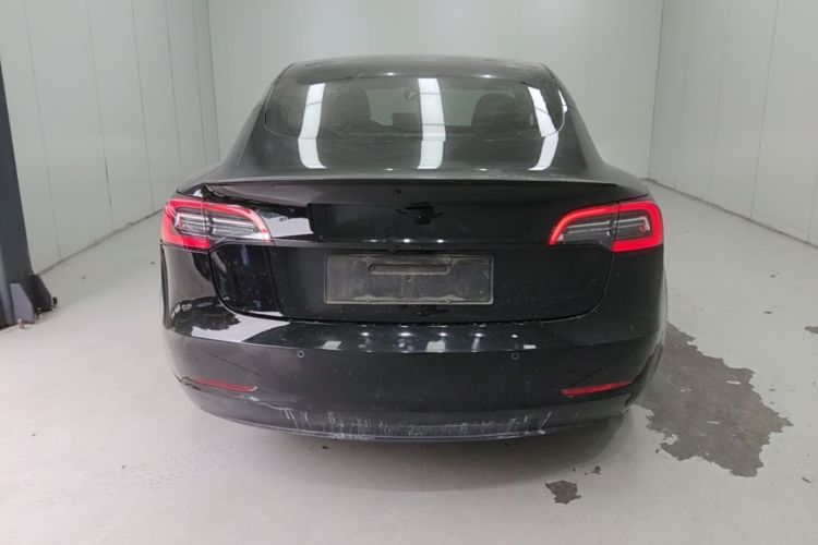 Tesla Model 3 2021 car image #4