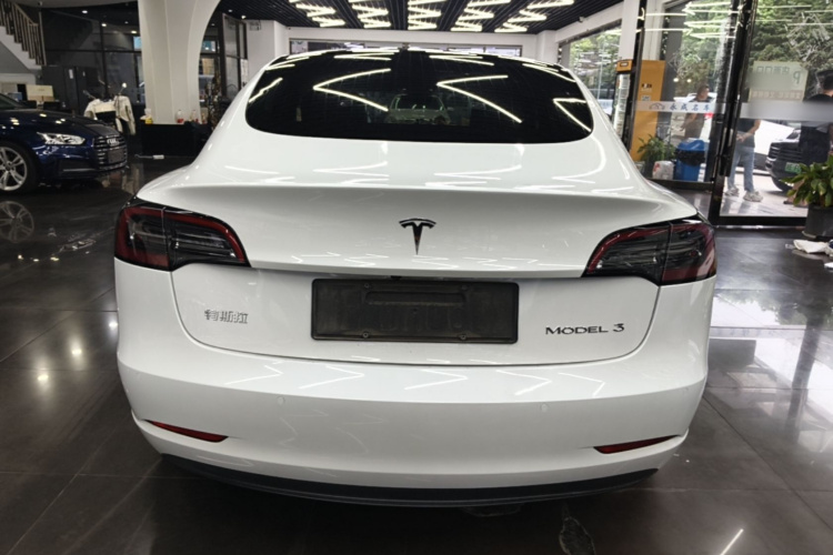 Tesla Model 3 2023 #6 Tesla Model 3 2023 car image #6