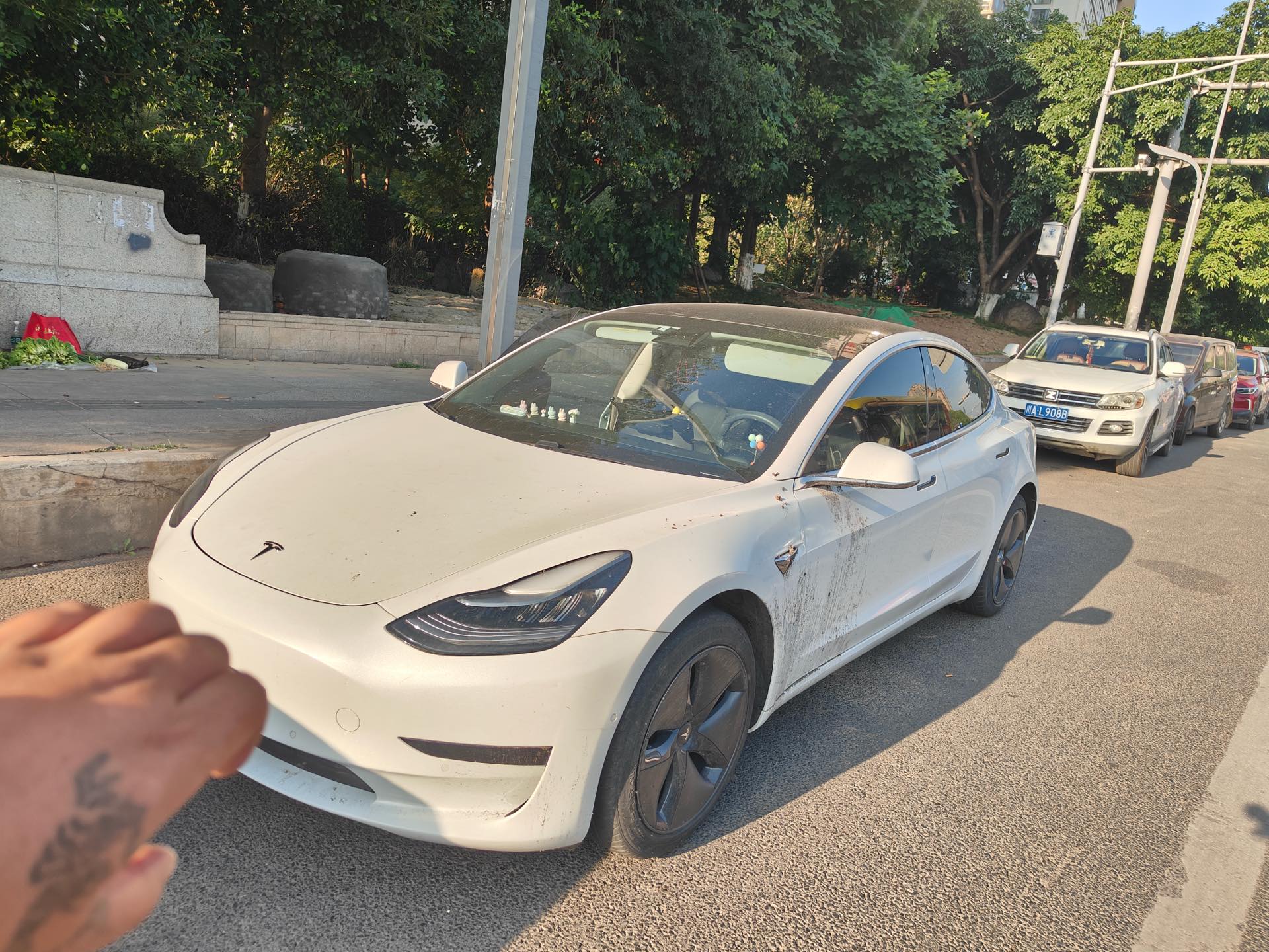 Tesla Model 3 2020 Tesla Model 3 2020 car image